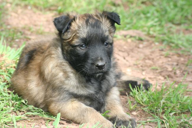 un bébé d anouk