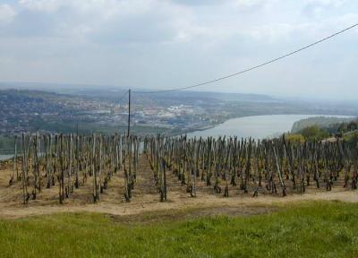 Les vins de la France vous passionnent, alors organisez votre séjour dans un vignoble